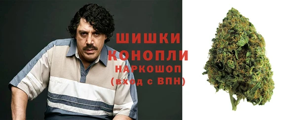 прущие крисы Инта