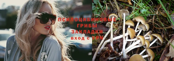 прущие крисы Инта